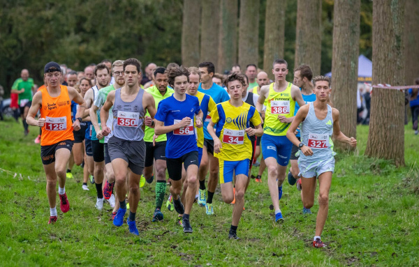 600_cross.jpg