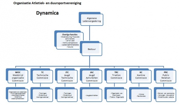 600_organogram_dynamica.jpg